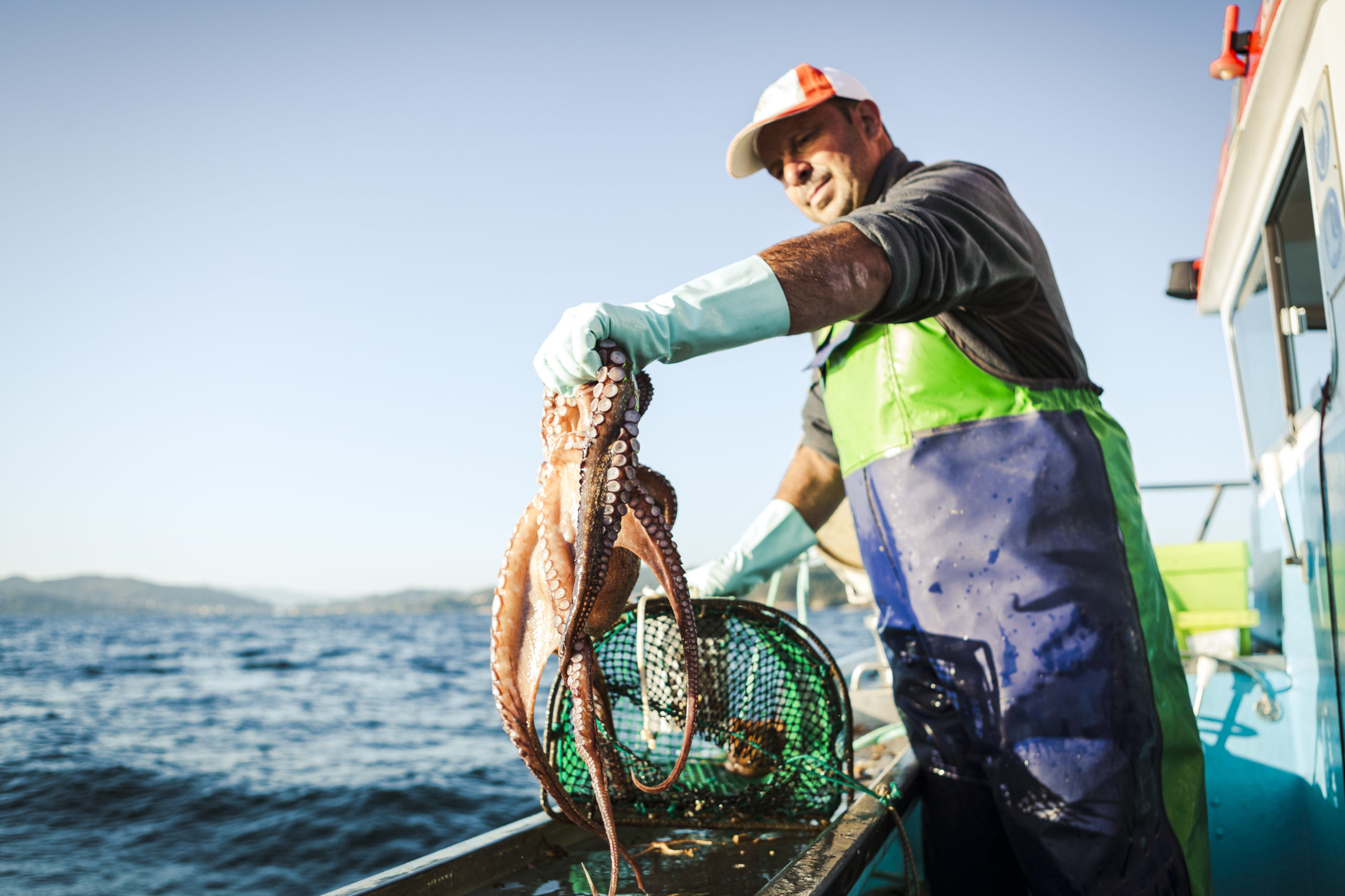 Pesca pulpo